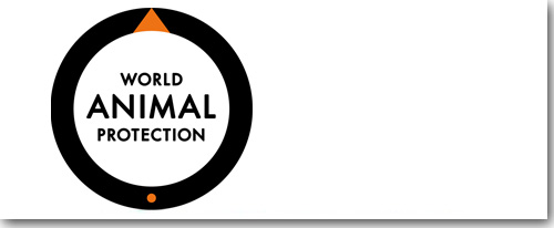 World Animal Protection, Nederland